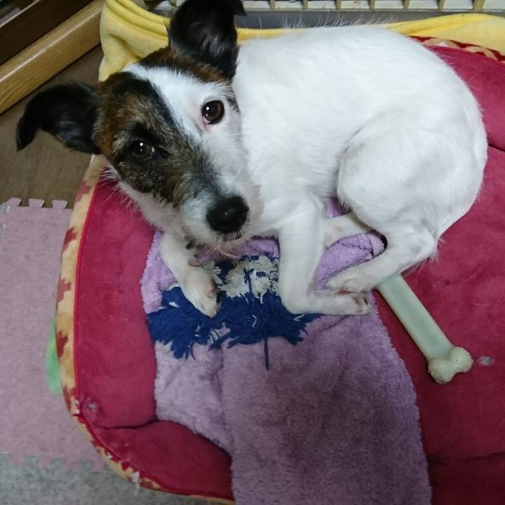 1c733513 2bc8 4b94 aaed e779a47033e2