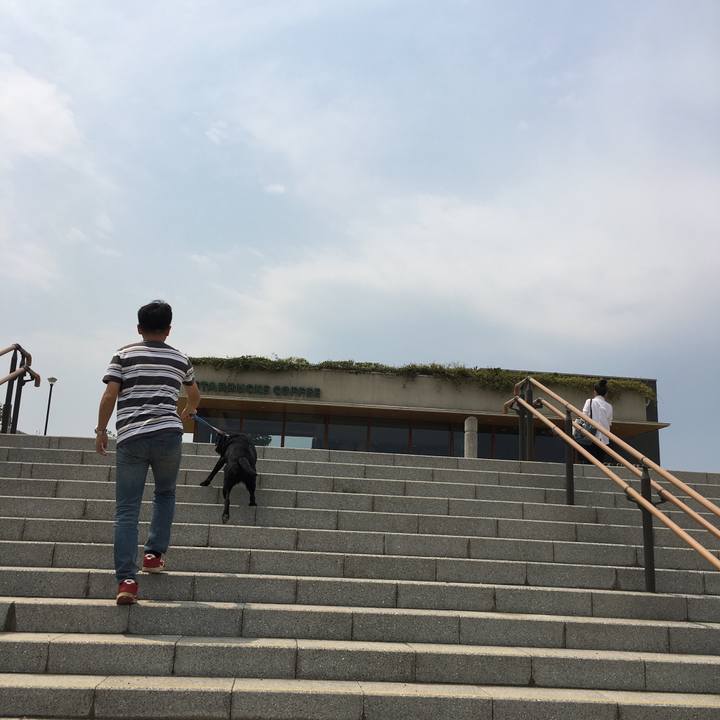 1c736178 e9fc 462a 85e6 f3efba3c7fa5