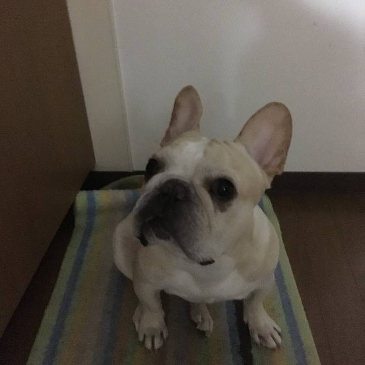 1c739e49 dda1 4ed3 82c3 c96be35ab1a0