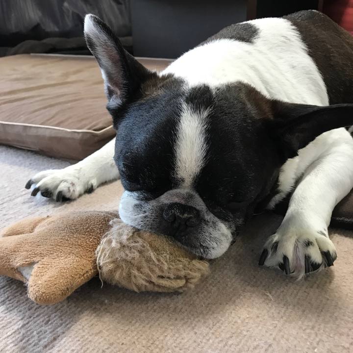 1c73f32f 35a0 4f27 8db0 6e76aba679fd