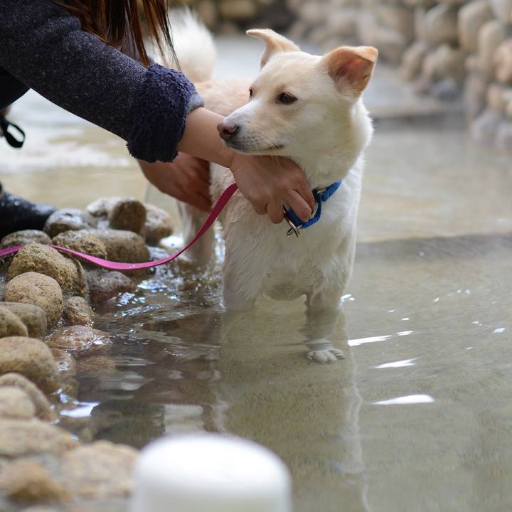 1c74913f e5d1 42b6 acf0 14e0550d8904