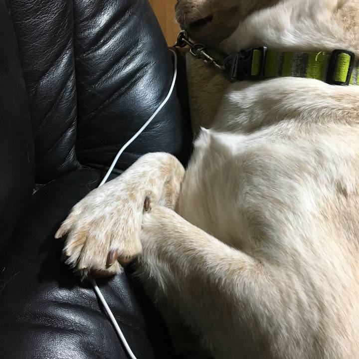 1c74d58e 9609 4eb9 98de a402d0217873