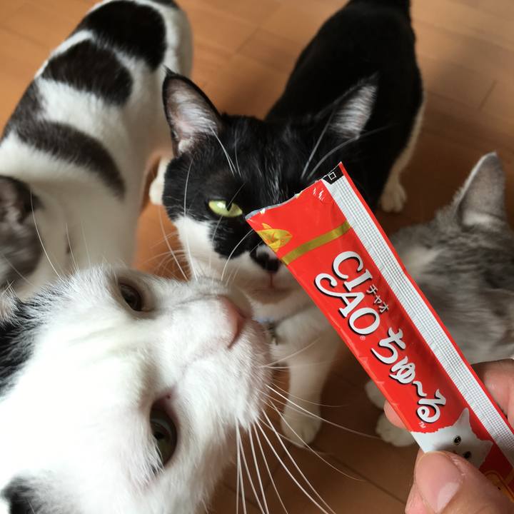 1c753d24 3983 4f0b a404 2367ab4af9a4