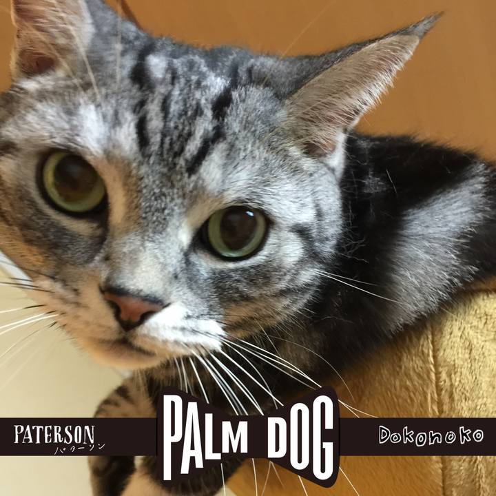 1c75fc0b 1c9a 43fe a991 aa299b6b1858