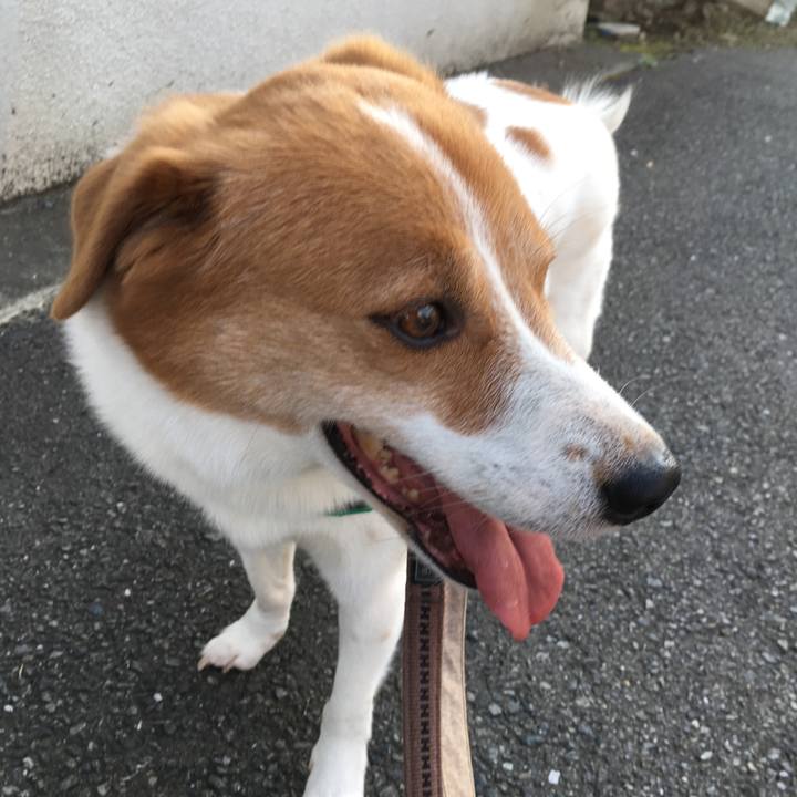 1c7633ec d9ac 435a 9d1d 766166e02993