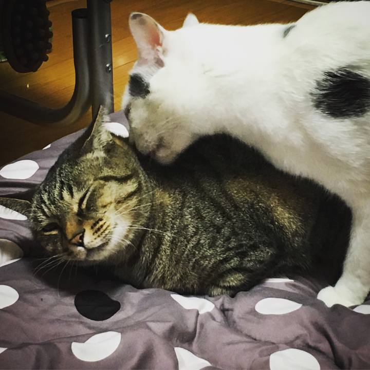 1c767380 c75e 4ff0 9080 6231c0ddaa74