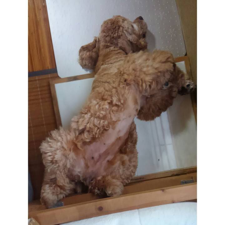 1c769f5e 4fab 4e32 aa4f 9ecccbe6fa6a