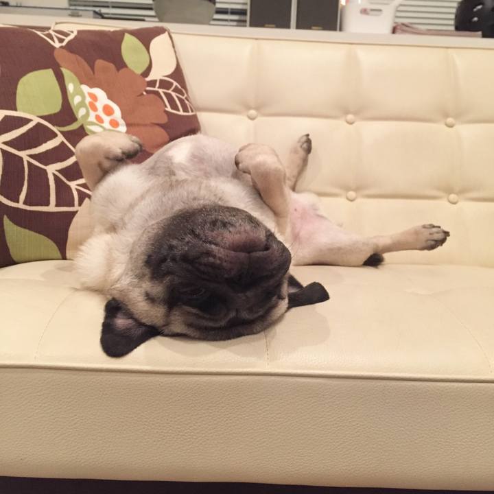 1c76c066 6e20 4ba6 8a91 1fe191af95c3