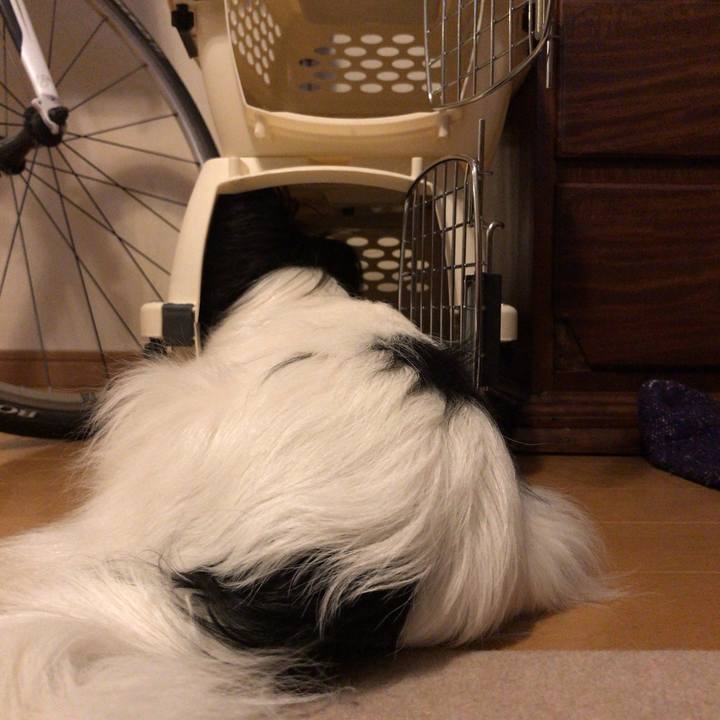 1c771383 fdde 4d3e 9b6c 1a998f8dd412