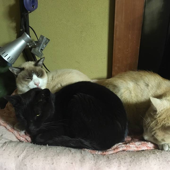 1c7719e1 a2c2 4da0 b920 9e5e77babfad