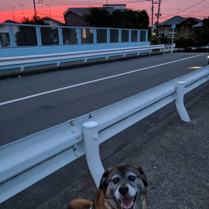 1c7820c9 51bd 447e ad98 1245e6594920