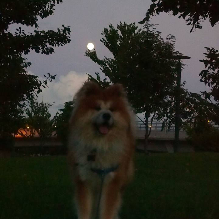 1c785a7a 56a1 4db7 ae9e 5f31d6b8db92