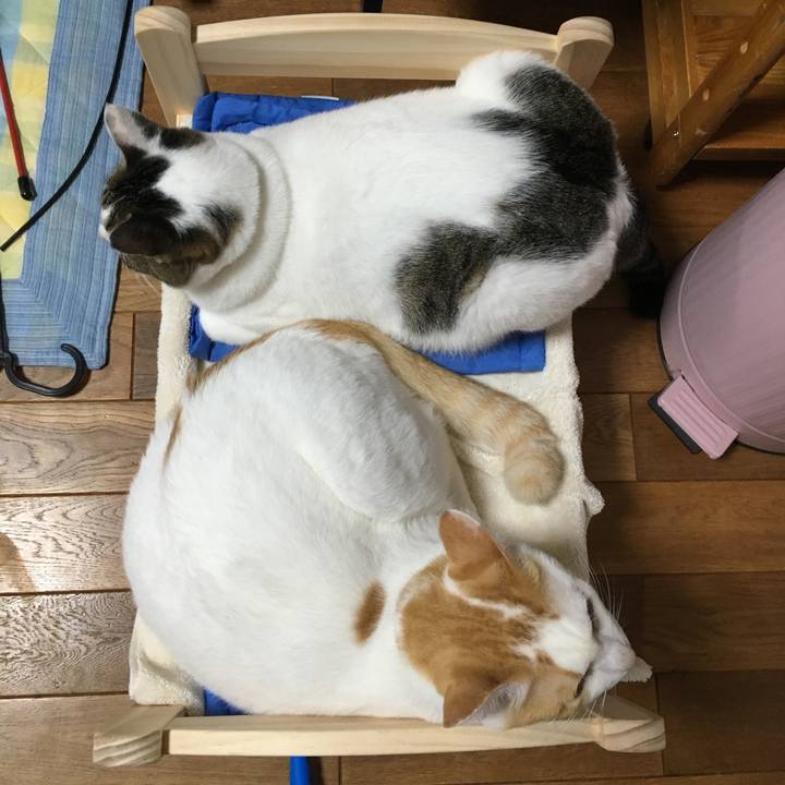 1c786ff4 4c1a 4950 9d30 f179c2f44b51