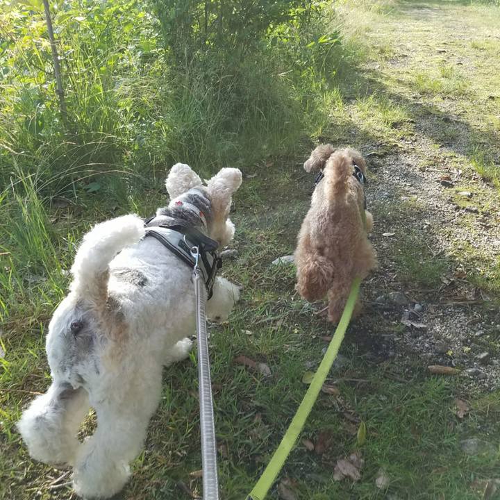 1c793598 2d95 416a 8001 e90d80507bd1