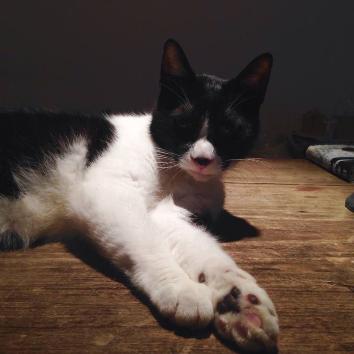 1c7982ed 238c 41fc 9015 bca92f95031c