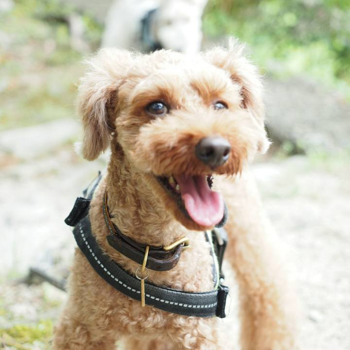 1c7b0aa5 5847 42a3 9a50 e59f015780c6