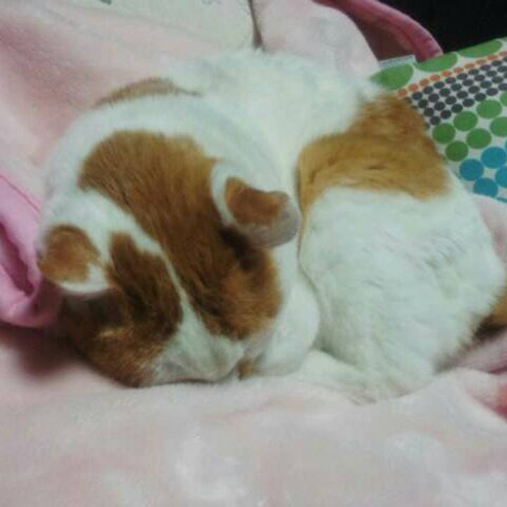 1c7b3423 22c7 4505 8d4d 9bd9c24b4e04