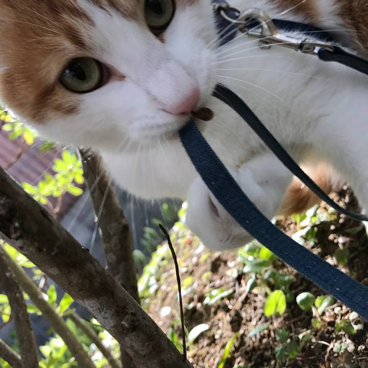 1c7ba373 6393 444d 8912 675337fabb16