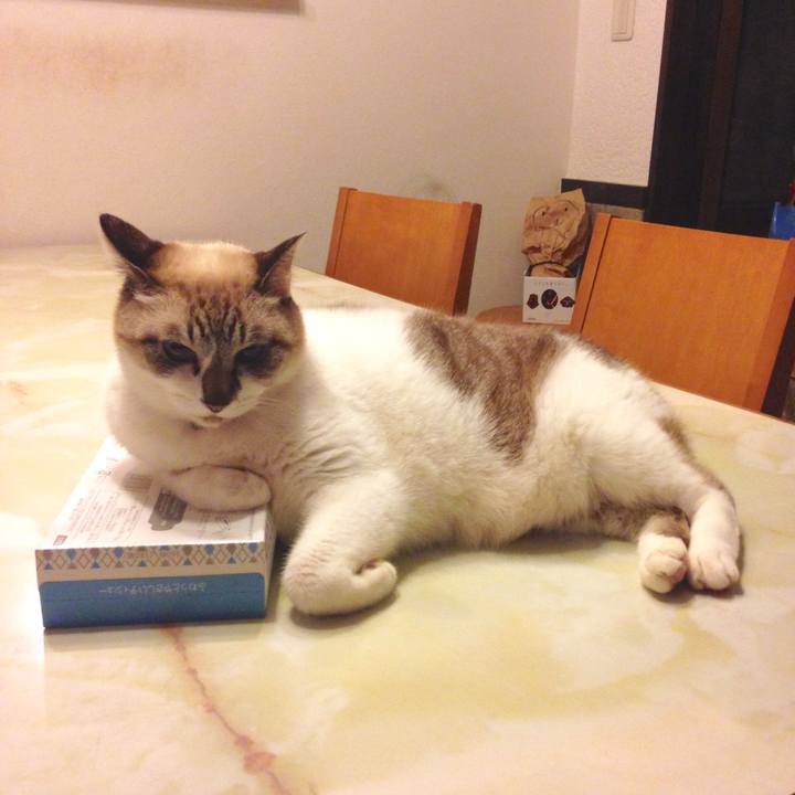 1c7bc452 99d2 4682 ad97 232e27e5429e