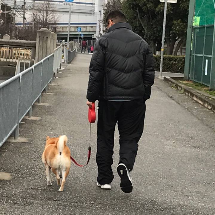 1c7c446e 7ec0 44a1 9820 6446da45de1e