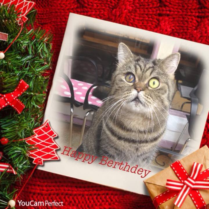 1c7ce119 993a 4743 8053 6a00411ba7b0