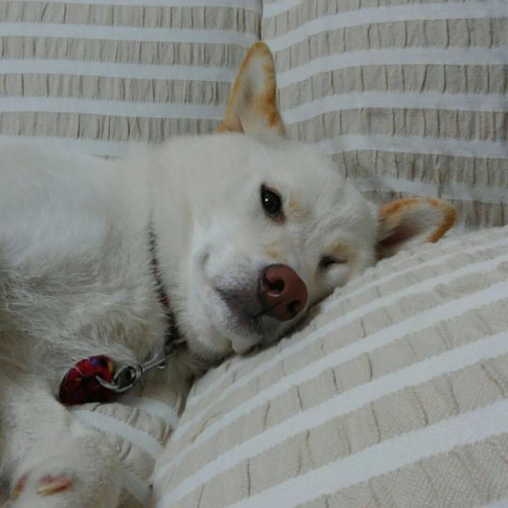 1c7cf100 3f5f 4416 b532 4d42b2685f92