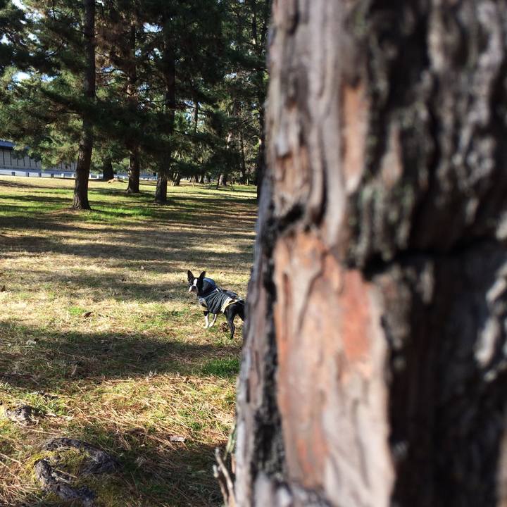 1c7d6278 40c0 434f 91b9 8ce73c1e9a51