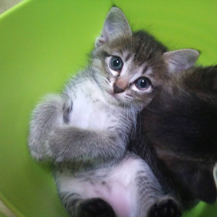 1c7d8a5c ddcd 4dc8 b85f e3f8418b9074