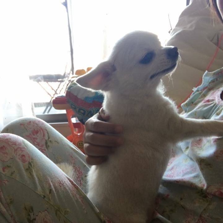 1c7e011f c54c 40e7 a551 18946c6baf38