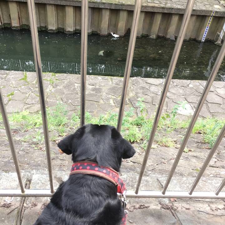 1c7e518f 98dc 44f7 a685 98c05a9b3c2f