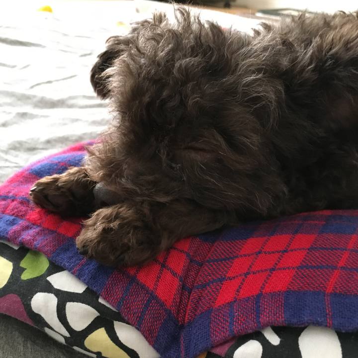 1c7f14c5 a4f7 4988 a5fe 63d02571e90b