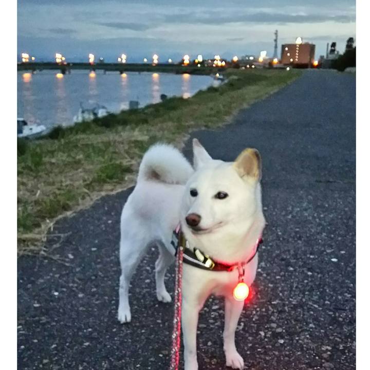 1c7f53e3 f4e4 4cd9 bb35 447c6246c52c