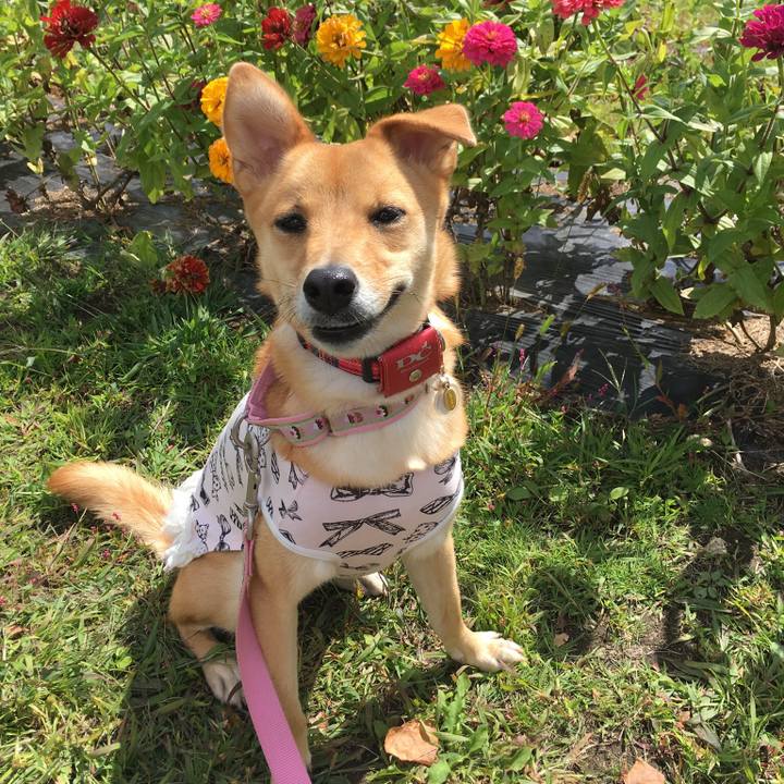 1c7fa026 8cf2 48f6 a66d f32cdf173438