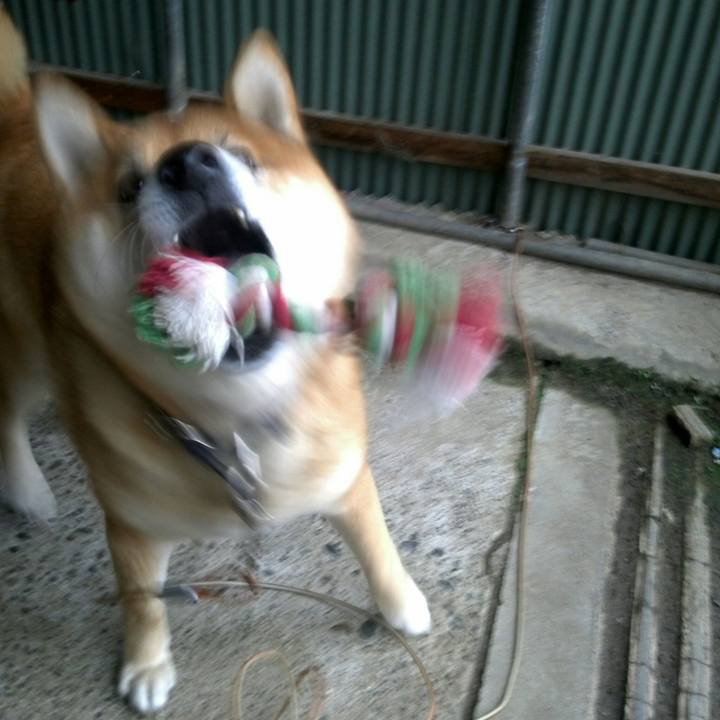 1c7fd5bd 8779 4131 a767 3b86fc114051