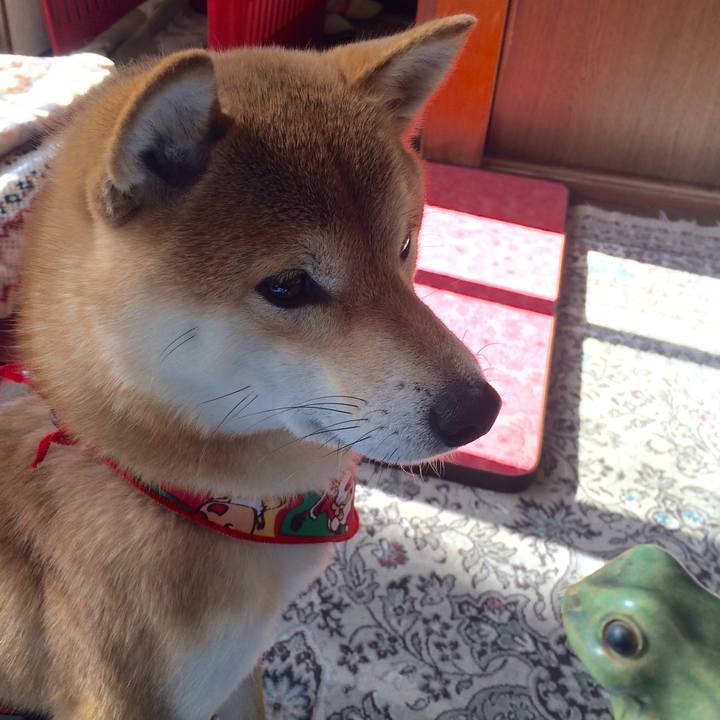 1c7ff7d0 f8d3 48a9 a485 af65535e0cc9