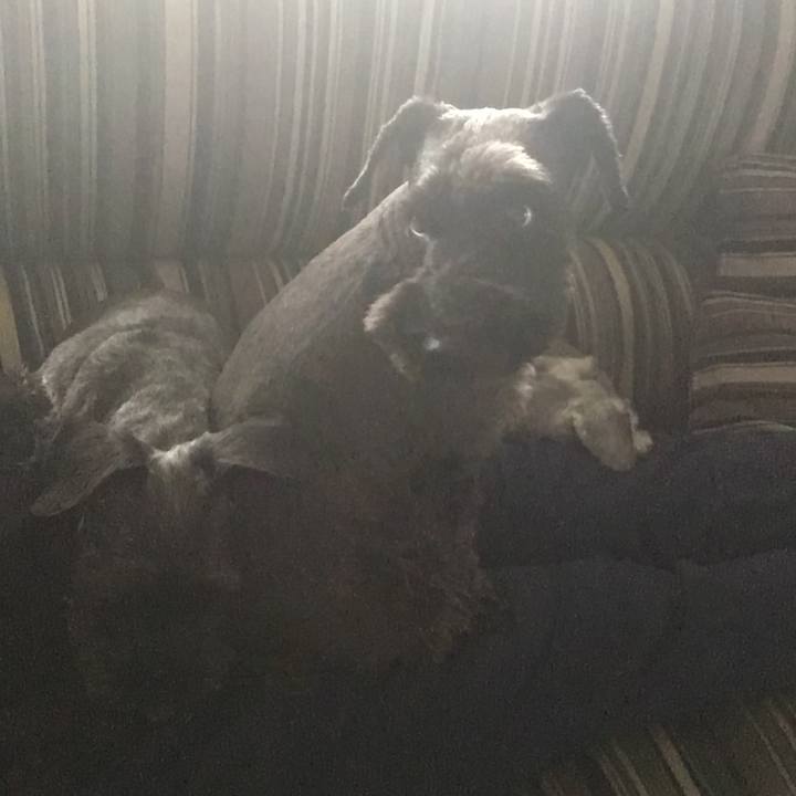 1c80086a 9d8a 407e 885f 780a7199b2cc