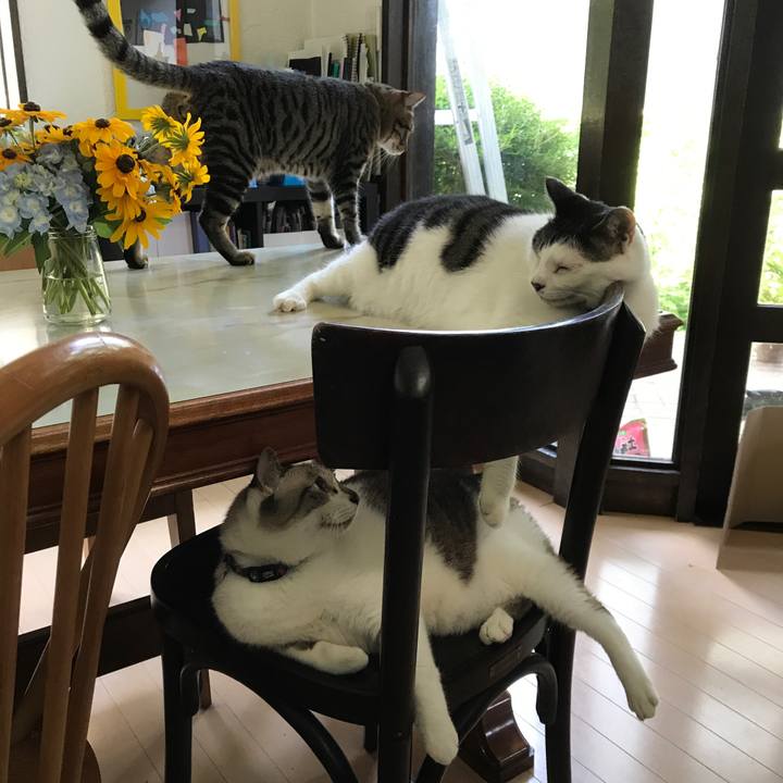 1c802ef7 da6a 4cda b381 7bd91f486ae9