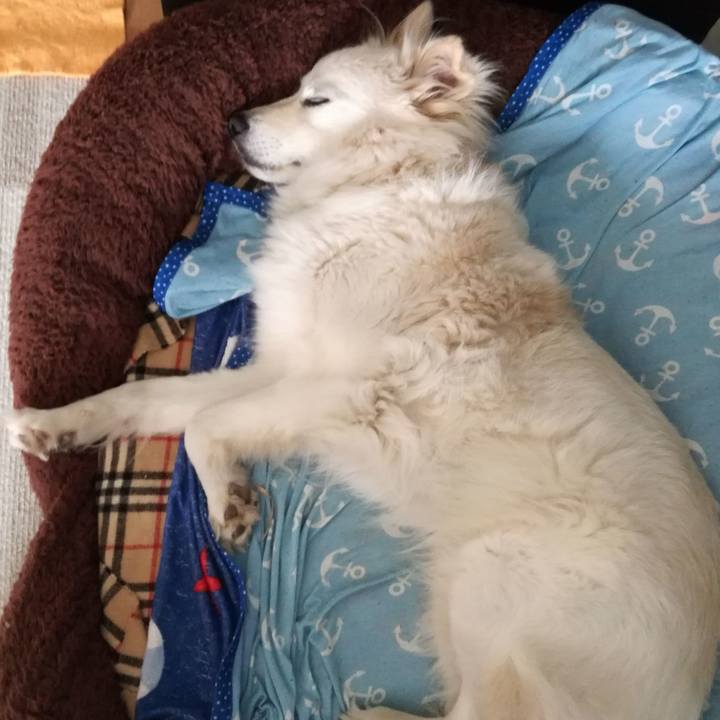 1c813dc3 34aa 4a1f b032 796069bb620e