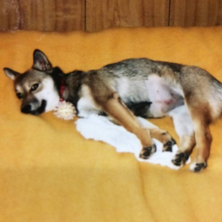 1c8261e9 4492 45ed 93d9 a7011314d44a