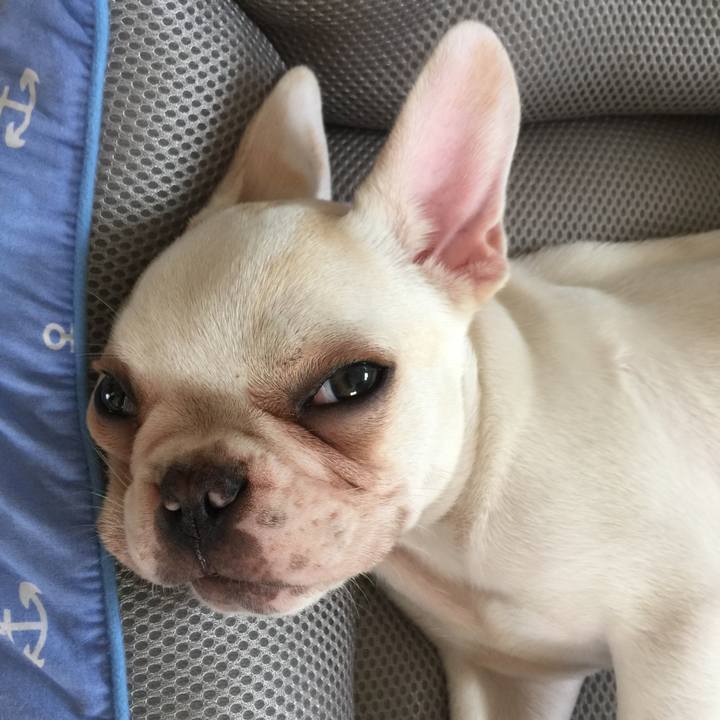 1c828268 587a 4109 97e2 59eb483c31a7