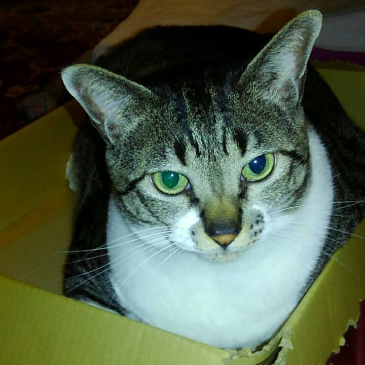 1c82a508 8015 452d 8baa 1d39a83c7e38