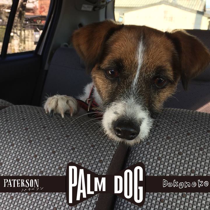 1c82b67a 8aac 42b2 b122 6aee167a1e6c