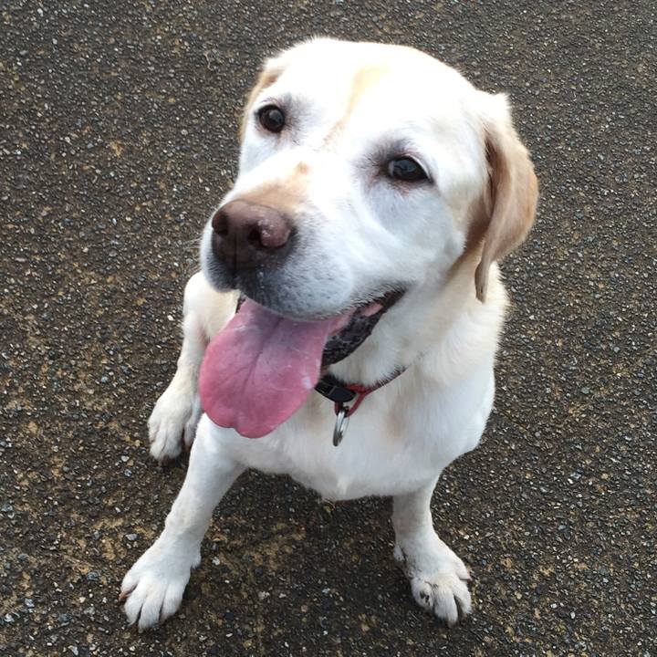 1c82d0da a168 47d5 b586 5f1b5188063f