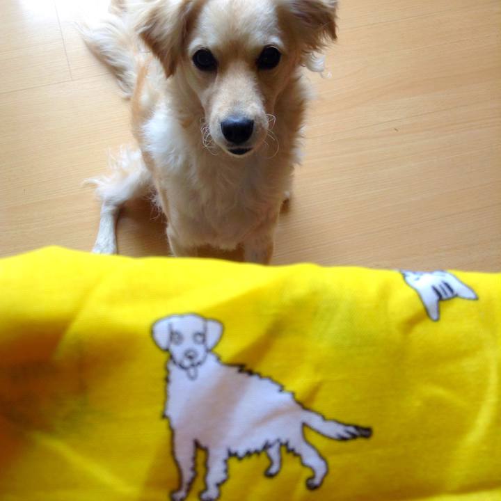 1c8334c1 d54a 43b2 918d ec411db80eff