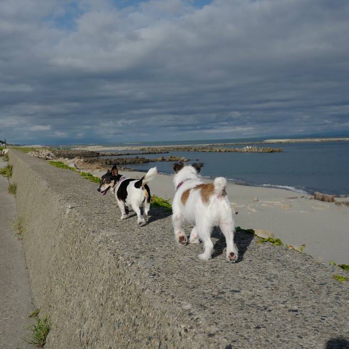 1c83863f 4613 4027 afe4 0934f431b8eb