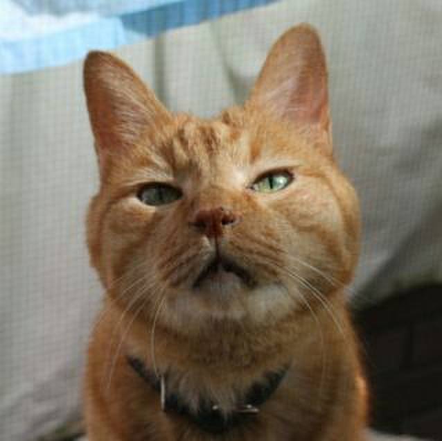 1c841e4f 893a 4a2d b704 7c454dd10a03