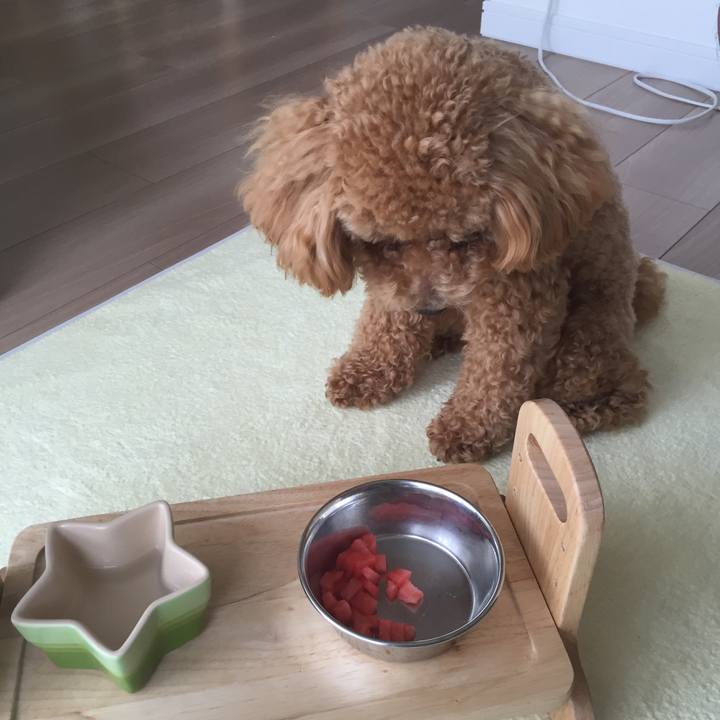 1c844e82 68c4 44b7 b016 051ae3884e0f