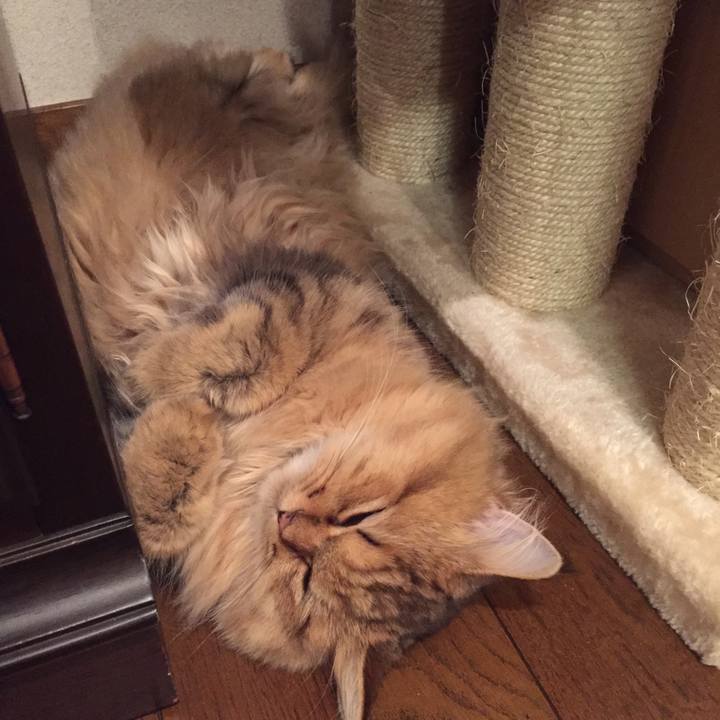 1c856604 aed7 4539 b76d 6c1a127c99a1