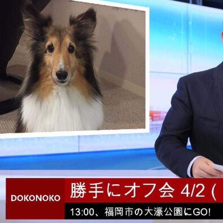 1c857587 4452 4f7c 8ae2 d4f36807e776