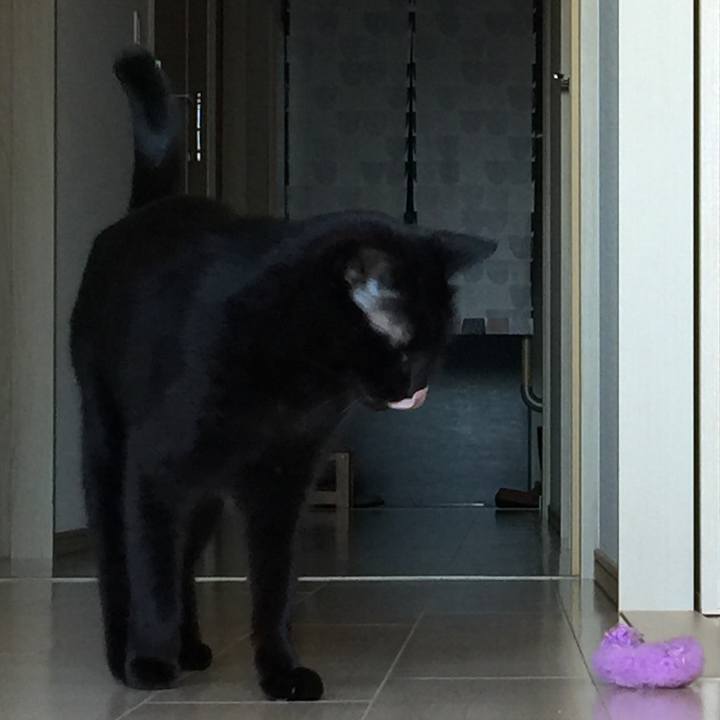 1c859122 94df 4ccd 831e a5c6d02da01f